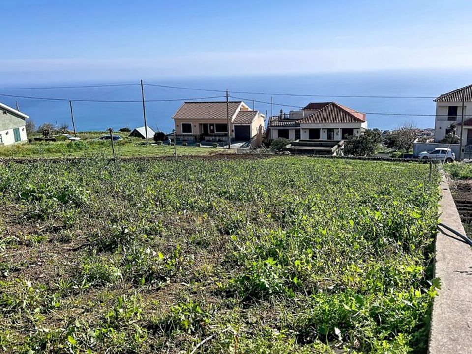 Helårsgrund i Ponta do Sol, Madeira - foto 5