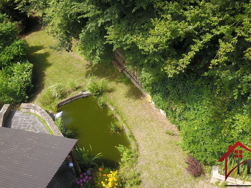Villa i La Petite-Pierre, Bas-Rhin - foto 4