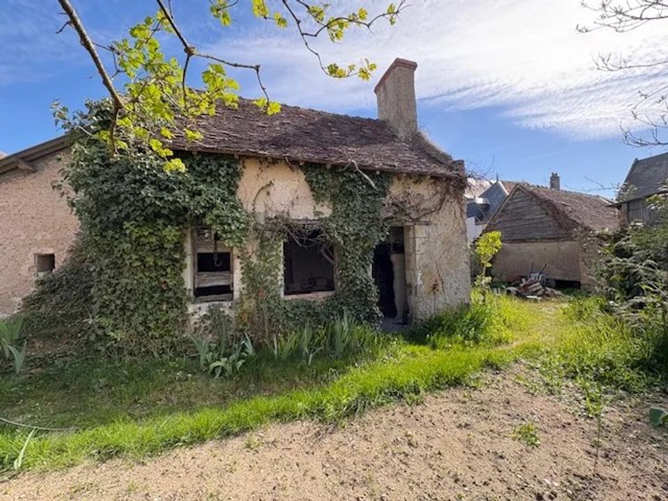 Landejendom i Savigné-sur-Lathan, Indre-et-Loire - foto 5