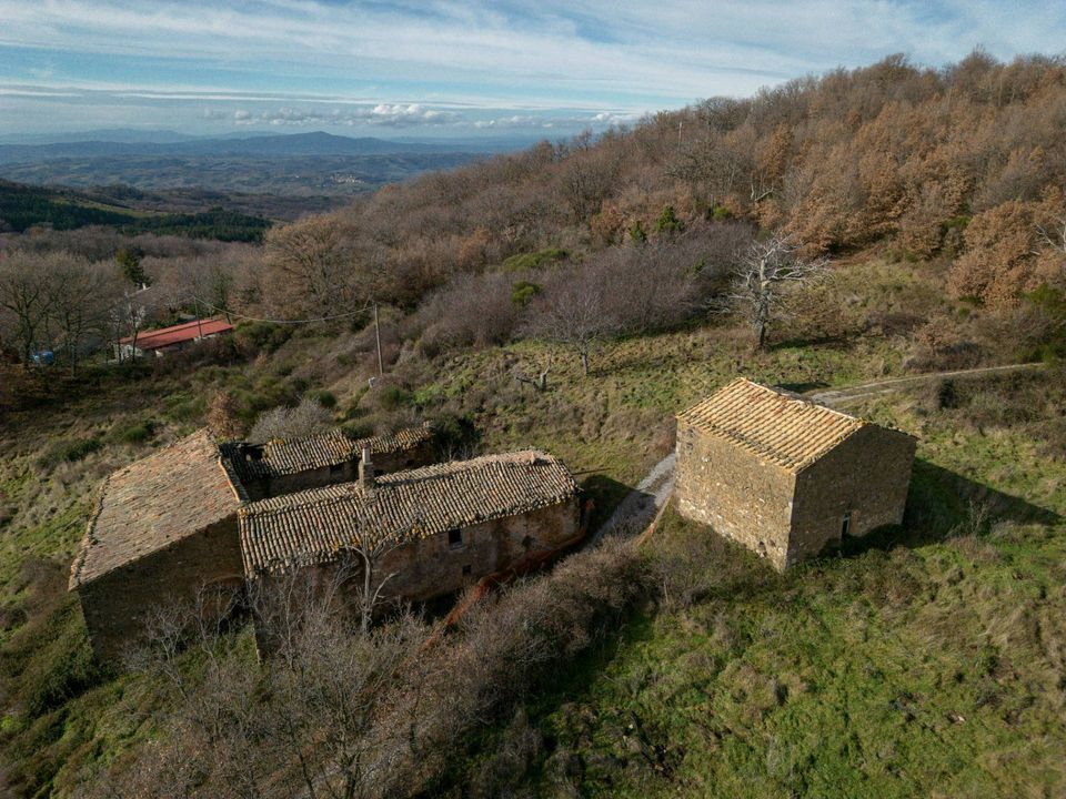 Landejendom i Cinigiano, Grosseto - foto 1