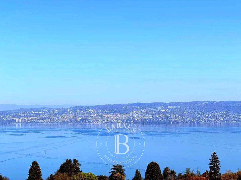 Villa i Evian-les-Bains, Haute-Savoie - foto 3