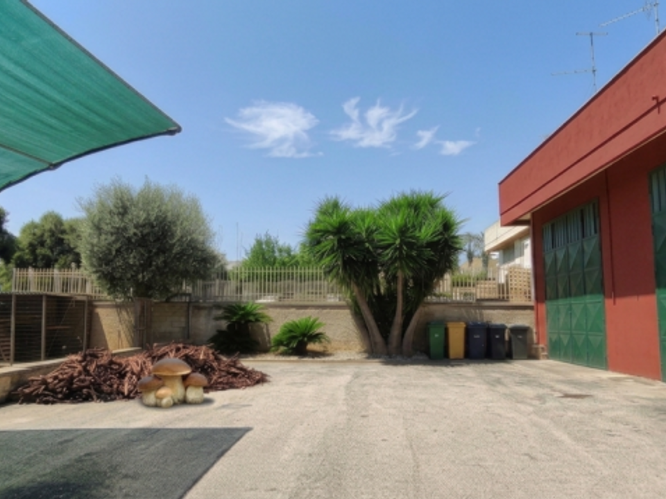 Erhvervsejendom i Fasano, Brindisi - foto 2
