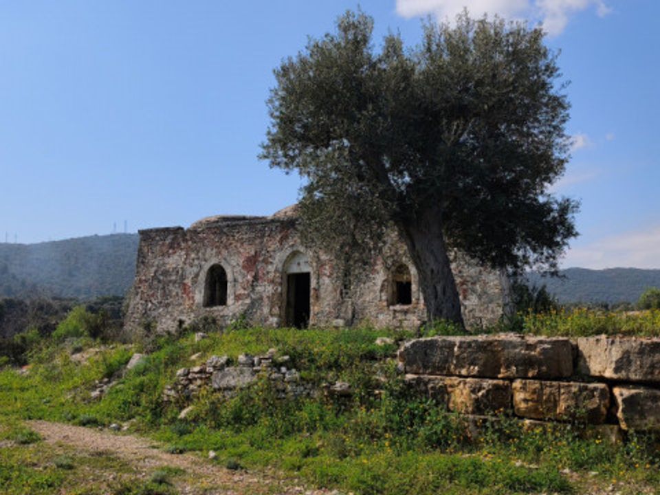Landejendom i Fasano, Brindisi - foto 2
