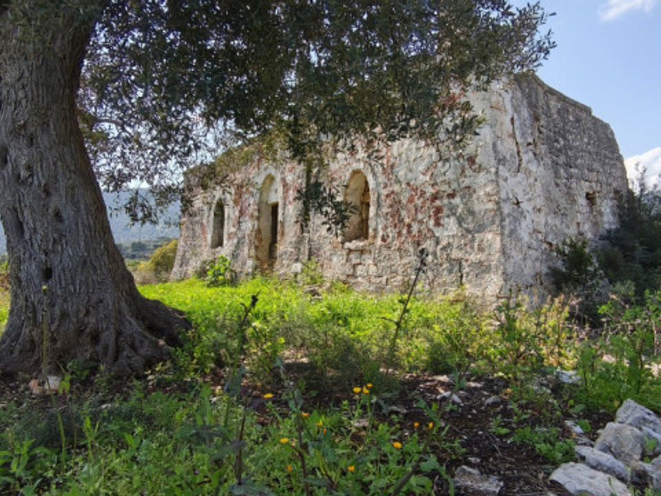 Landejendom i Fasano, Brindisi - foto 4