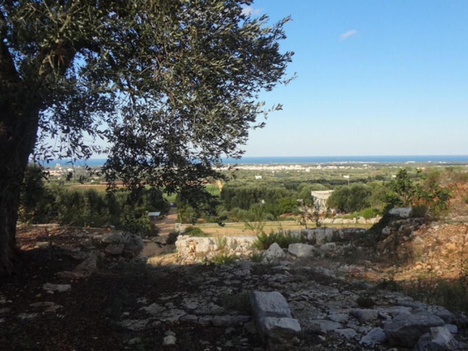 Landejendom i Fasano, Brindisi - foto 5