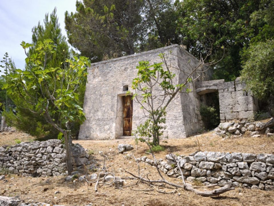 Landejendom i Fasano, Brindisi - foto 1
