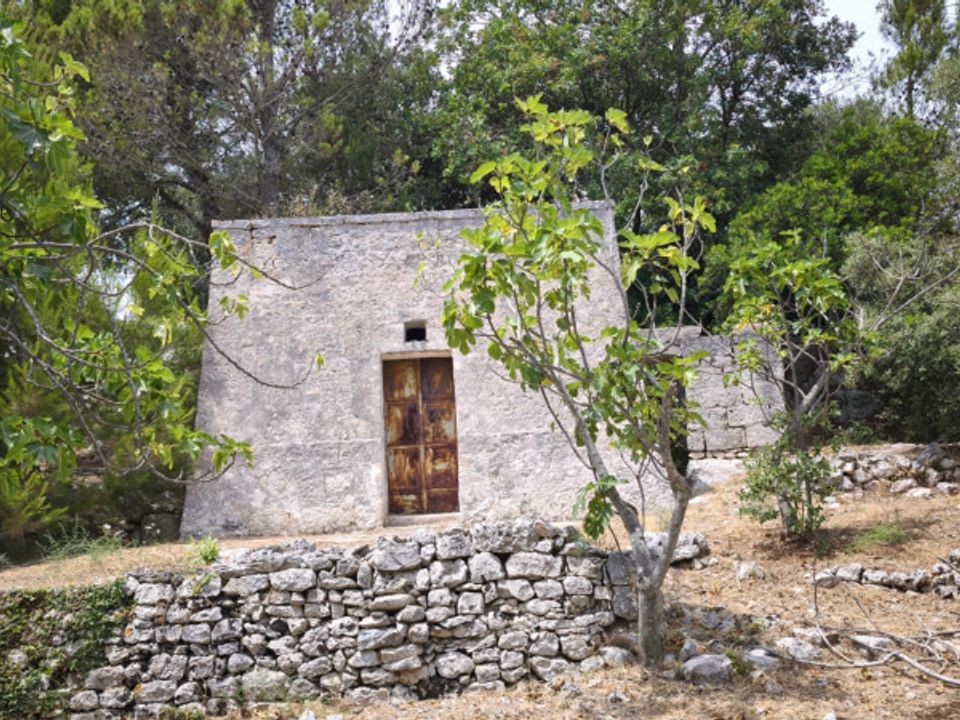 Landejendom i Fasano, Brindisi - foto 3