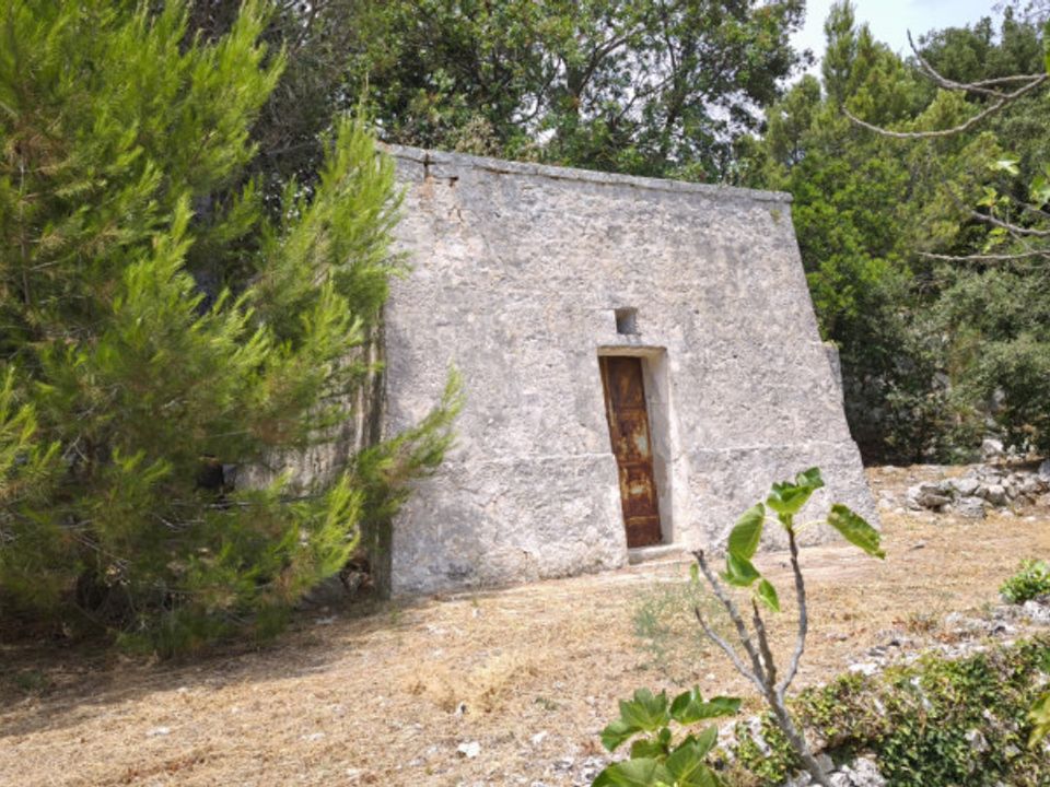 Landejendom i Fasano, Brindisi - foto 4