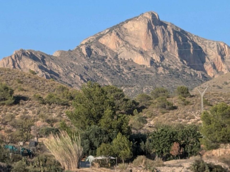Villa i Petrer, Alicante - foto 4