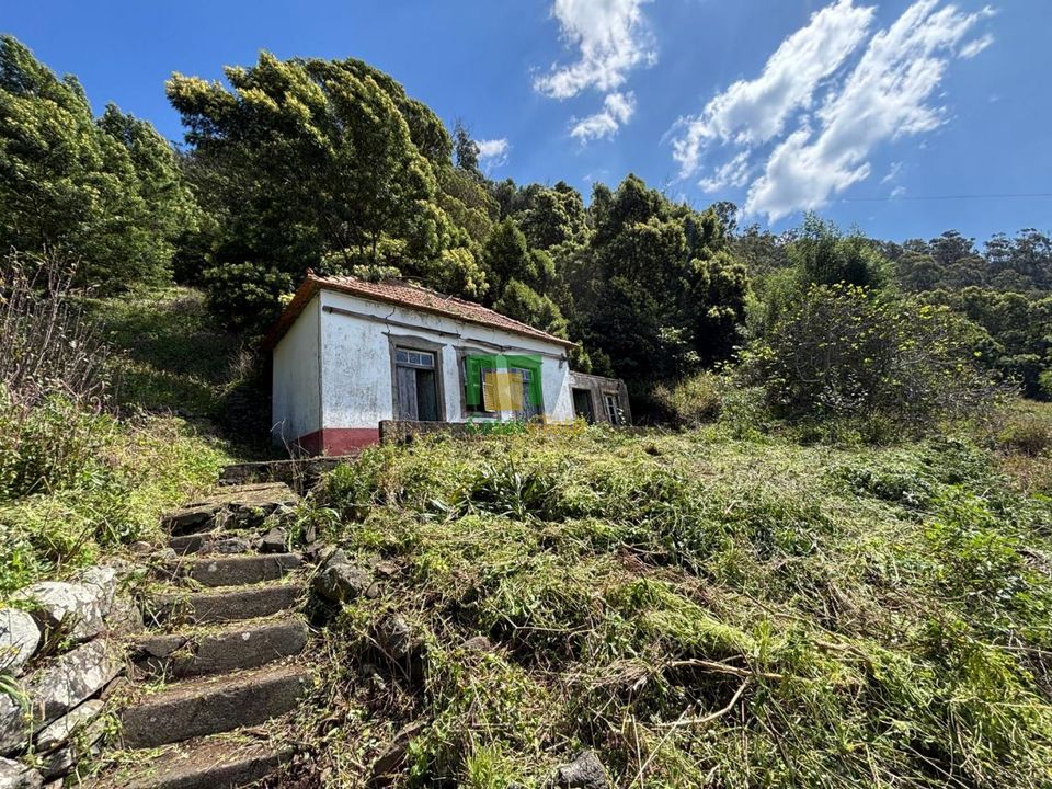 Villa i Ribeira Brava, Madeira - foto 1
