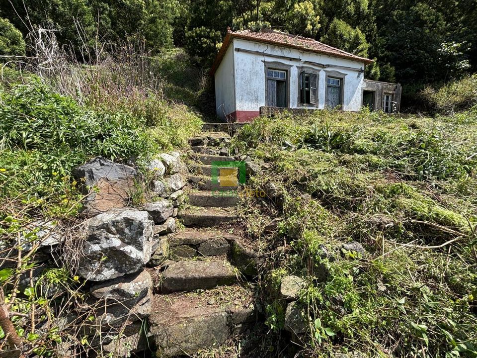 Villa i Ribeira Brava, Madeira - foto 3