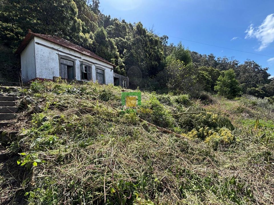 Villa i Ribeira Brava, Madeira - foto 4