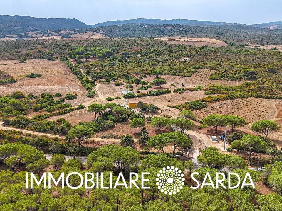 Villa i Aglientu, Sassari - foto 5