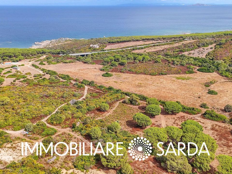 Helårsgrund i Aglientu, Sassari - foto 5