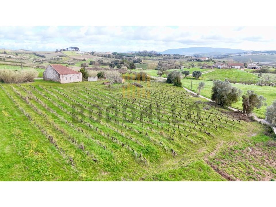 Villa i Carvalhal, Leiria - foto 5