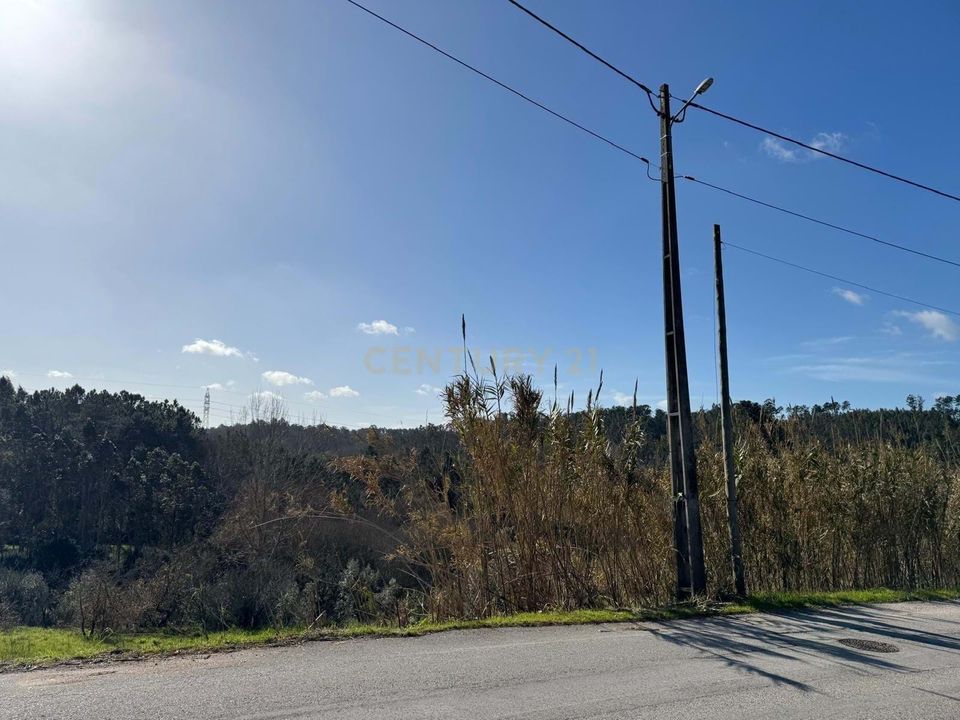 Helårsgrund i Pombal, Leiria - foto 1