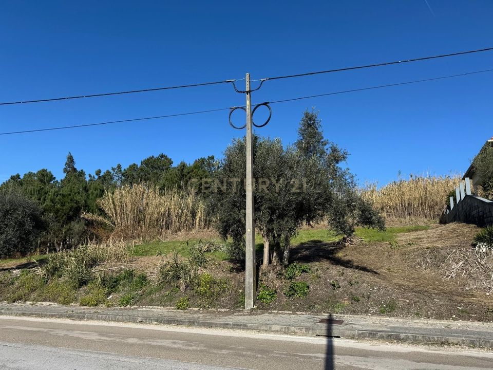 Helårsgrund i Pombal, Leiria - foto 2