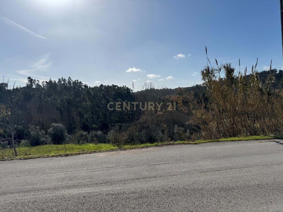 Helårsgrund i Pombal, Leiria - foto 3
