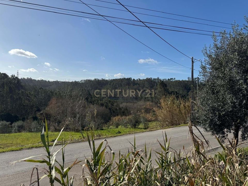 Helårsgrund i Pombal, Leiria - foto 4