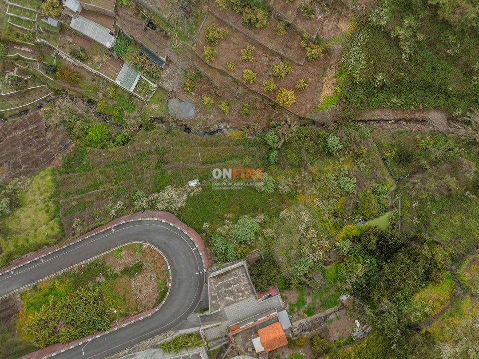 Helårsgrund i Camara de Lobos, Madeira - foto 3