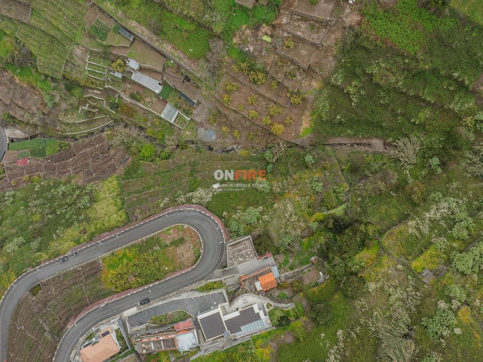 Helårsgrund i Camara de Lobos, Madeira - foto 4