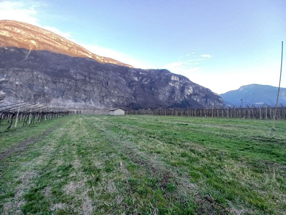 Erhvervsejendom i Aldeno, Trento - foto 1