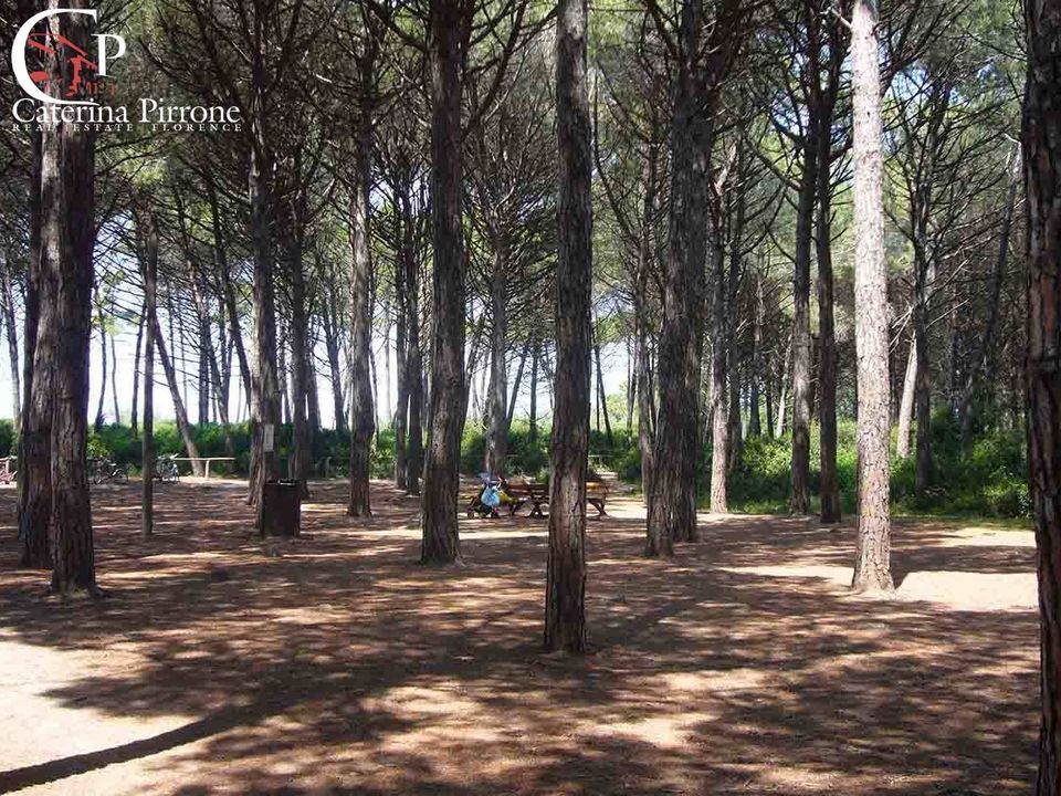 Apartamento en Rosignano Marittimo, Livorno - foto 5