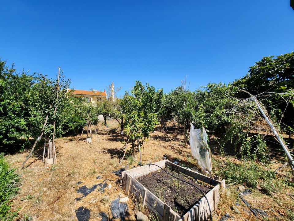 Lejlighed i San Sperate, Sud Sardegna - foto 5