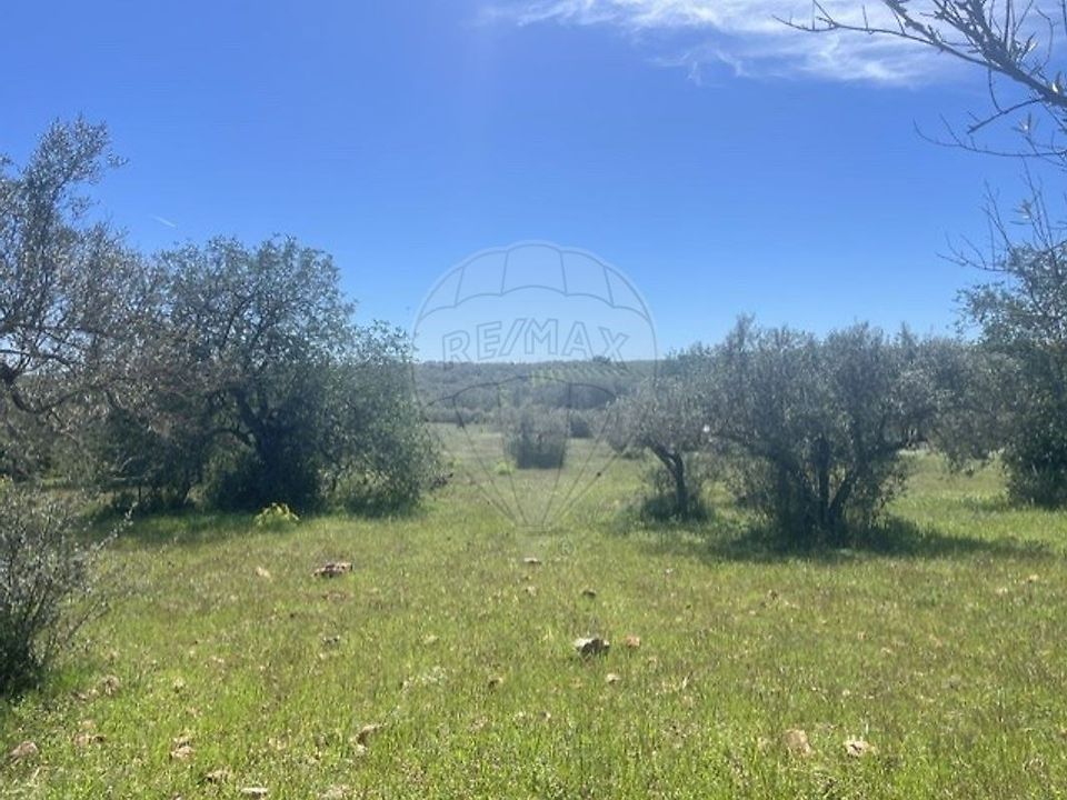 Helårsgrund i Silves, Faro - foto 4