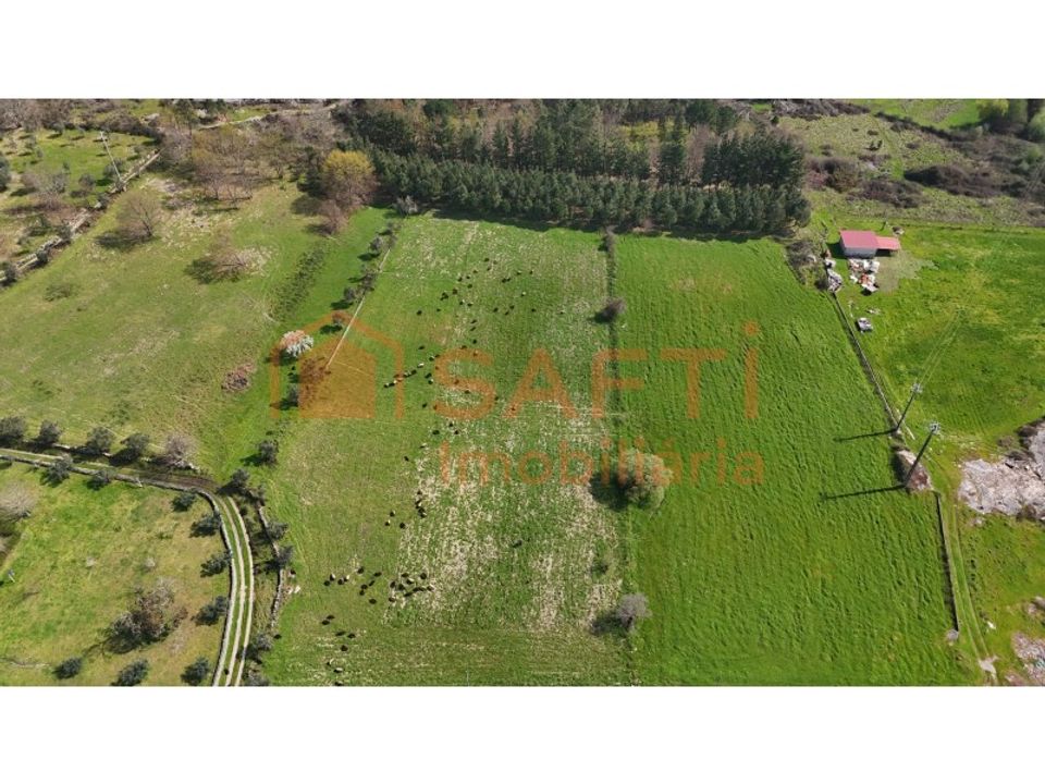 Farm i Tourais e Lajes, Guarda - foto 3