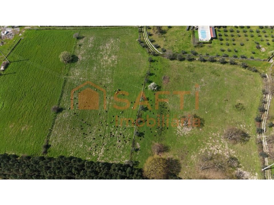 Farm i Tourais e Lajes, Guarda - foto 5