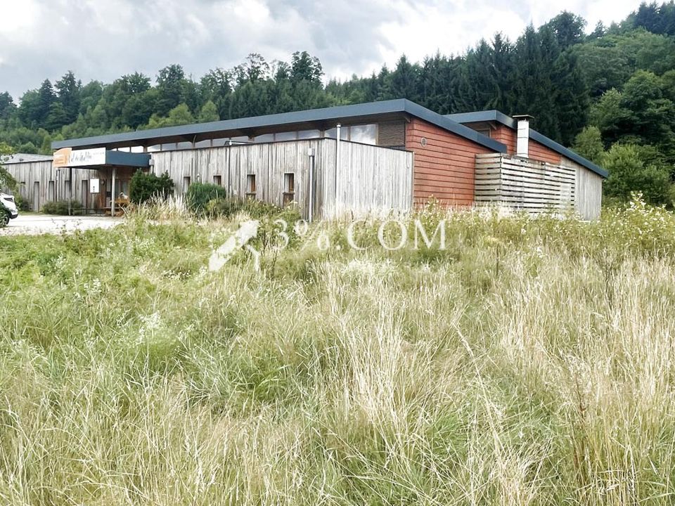 Erhvervsejendom i Raves, Vosges - foto 1