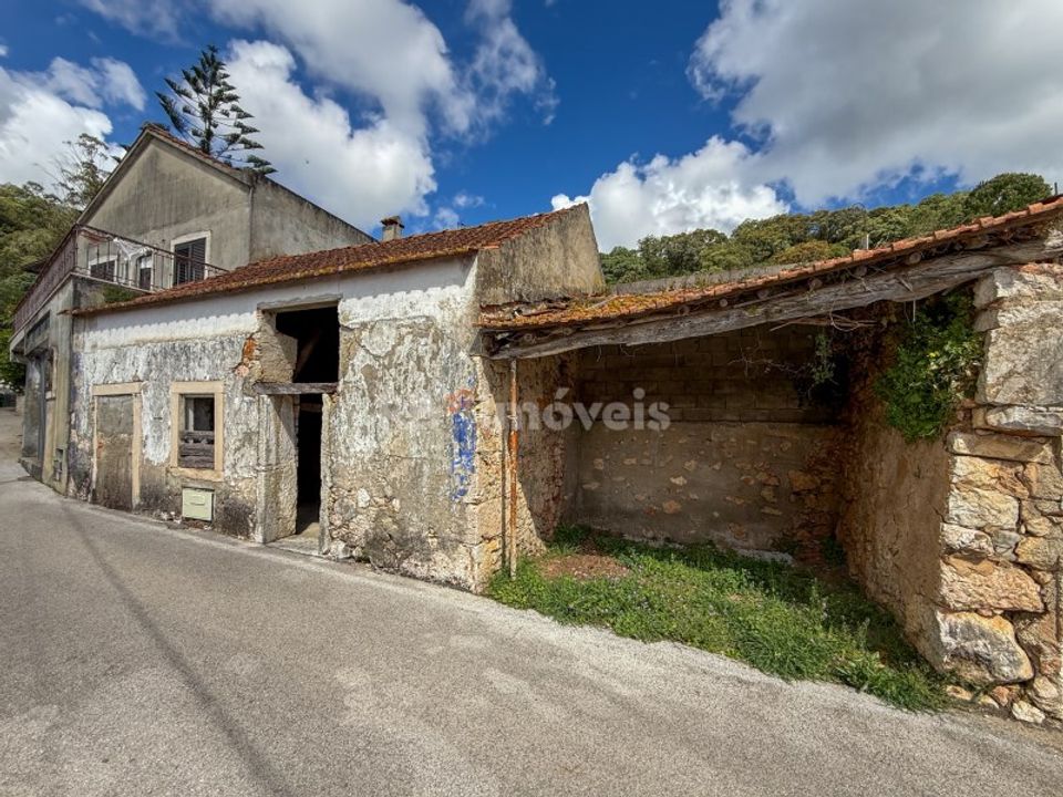 Landejendom i Torres Novas, Santarem - foto 3
