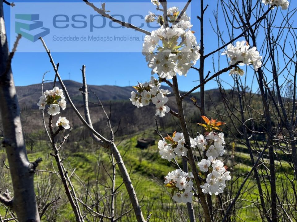 Helårsgrund i Fundao, Castelo Branco - foto 1