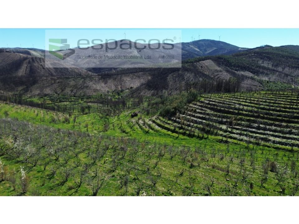 Helårsgrund i Fundao, Castelo Branco - foto 4