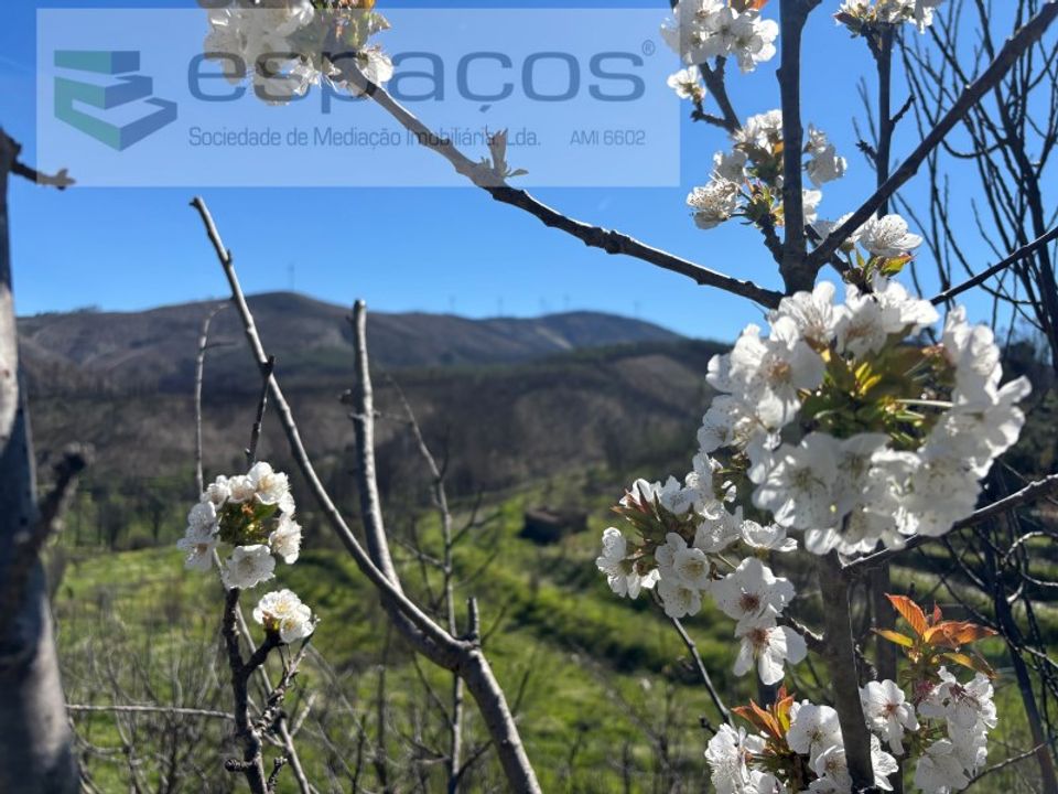 Helårsgrund i Fundao, Castelo Branco - foto 5