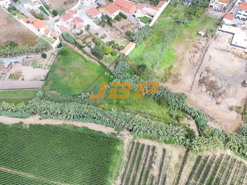 Tomt i Alcobaca, Leiria - foto 1