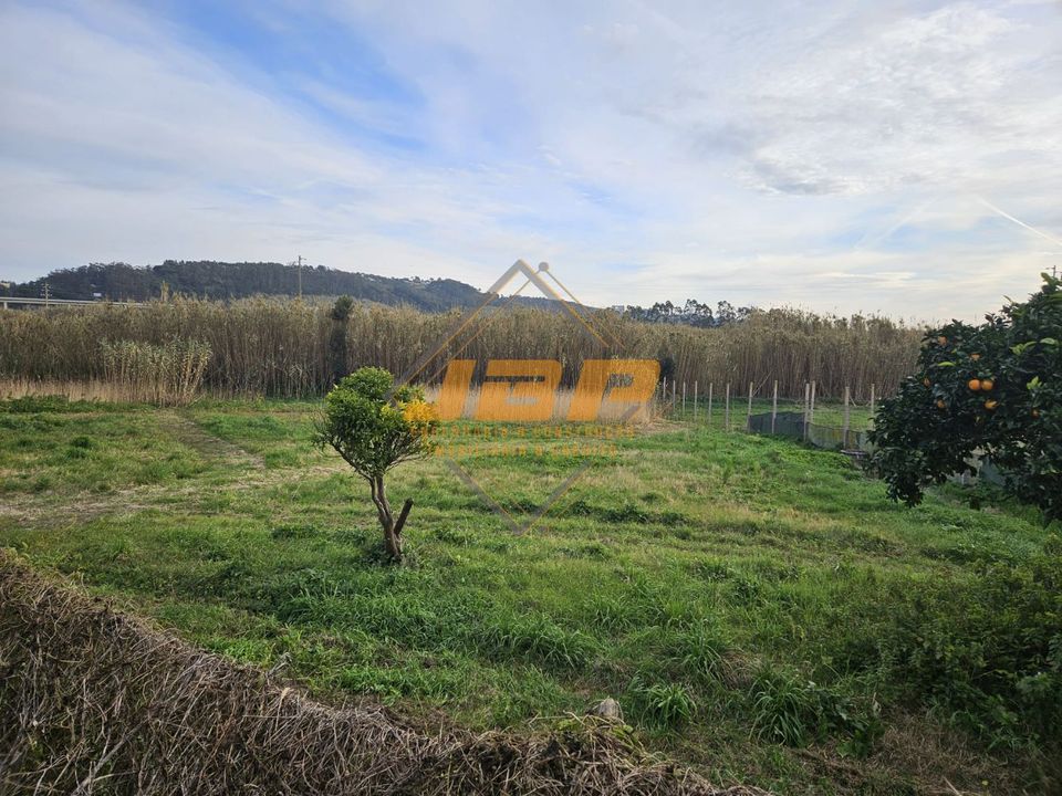 Helårsgrund i Alcobaca, Leiria - foto 4