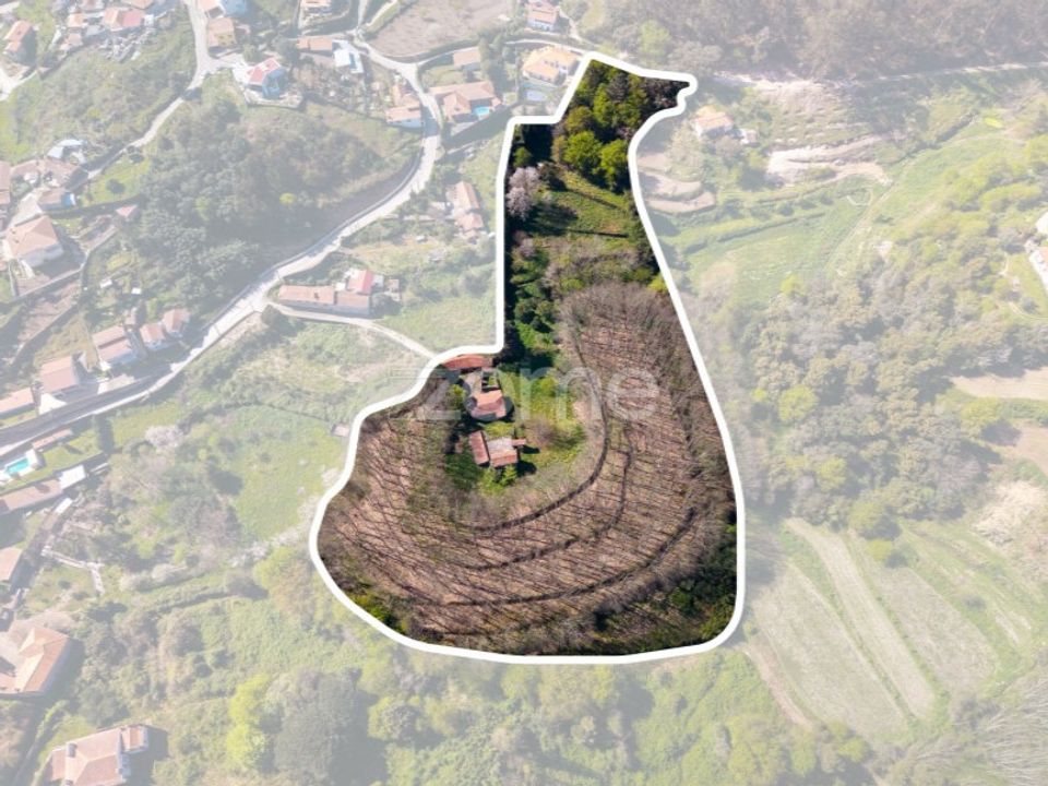 Granja a Paredes, Porto - foto 5