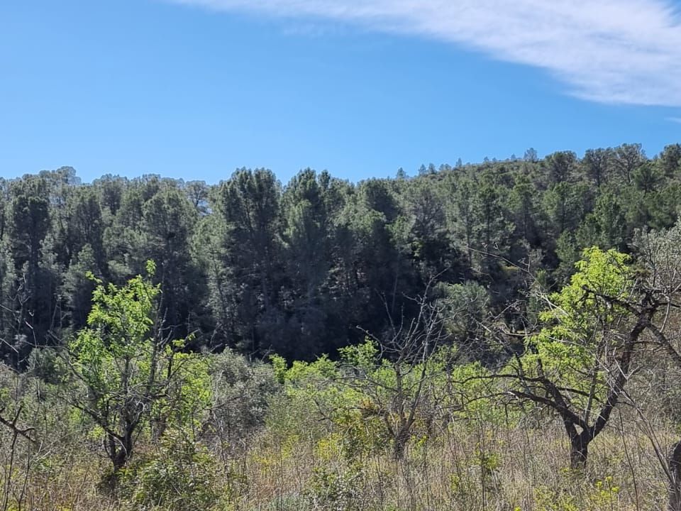 Finca i Benifallet, Tarragona - foto 2