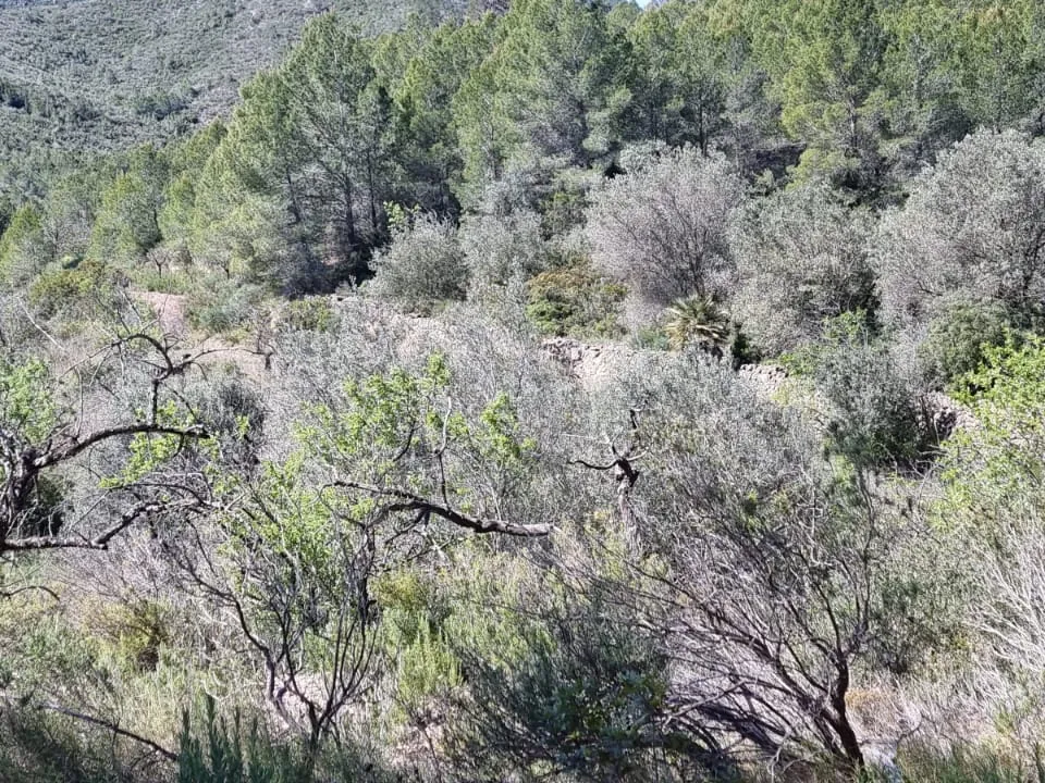 Finca i Benifallet, Tarragona - foto 3
