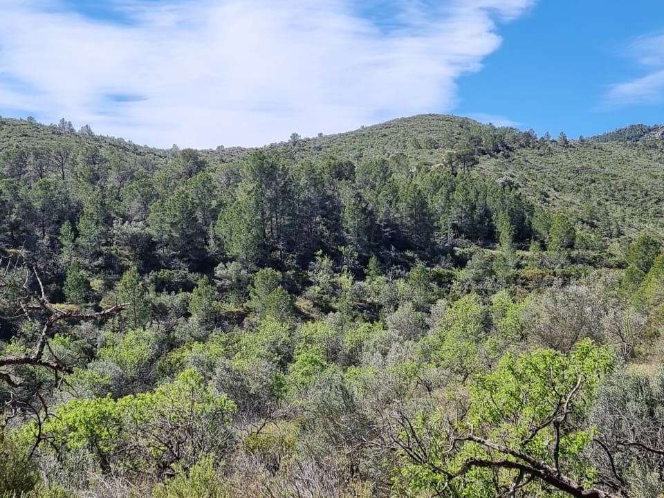 Finca i Benifallet, Tarragona - foto 5