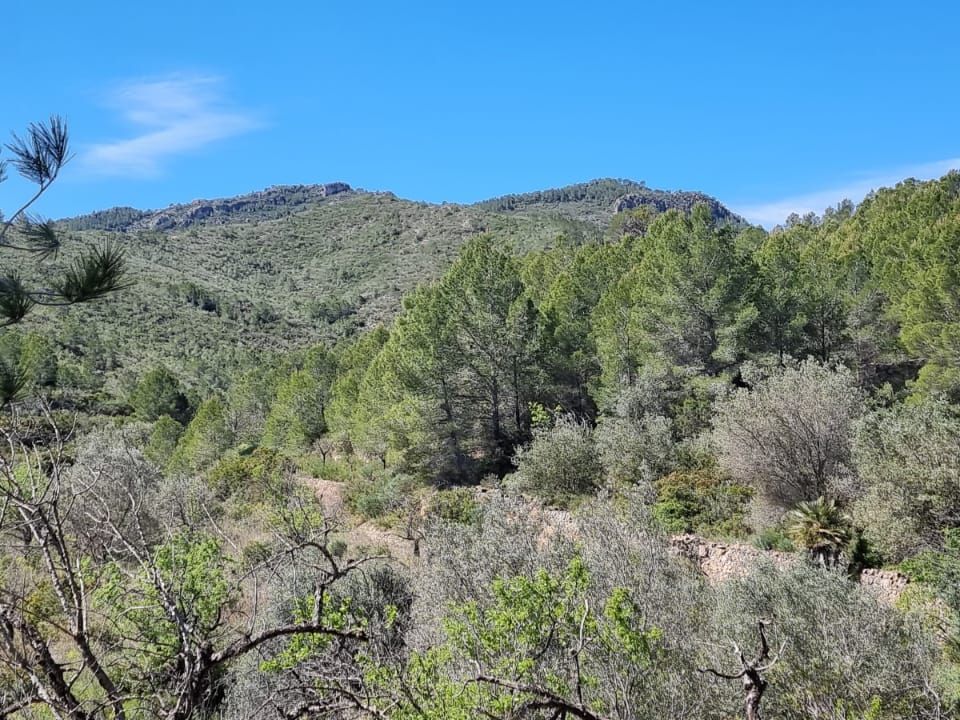 Finca i Benifallet, Tarragona - foto 4