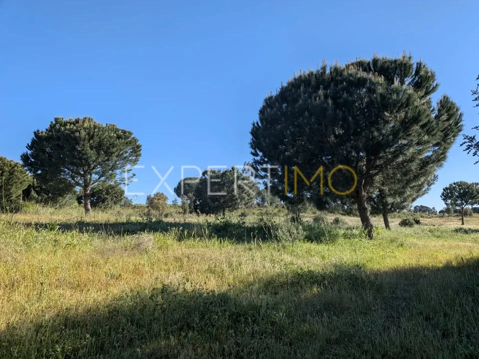 Helårsgrund i Vendas Novas, Evora - foto 2