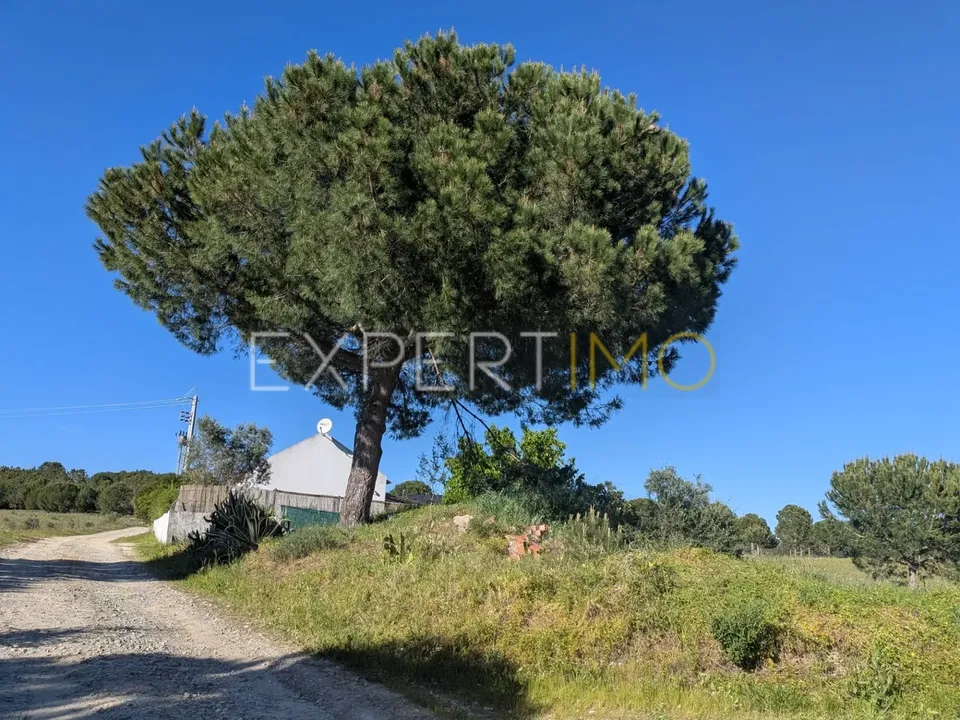 Helårsgrund i Vendas Novas, Evora - foto 3