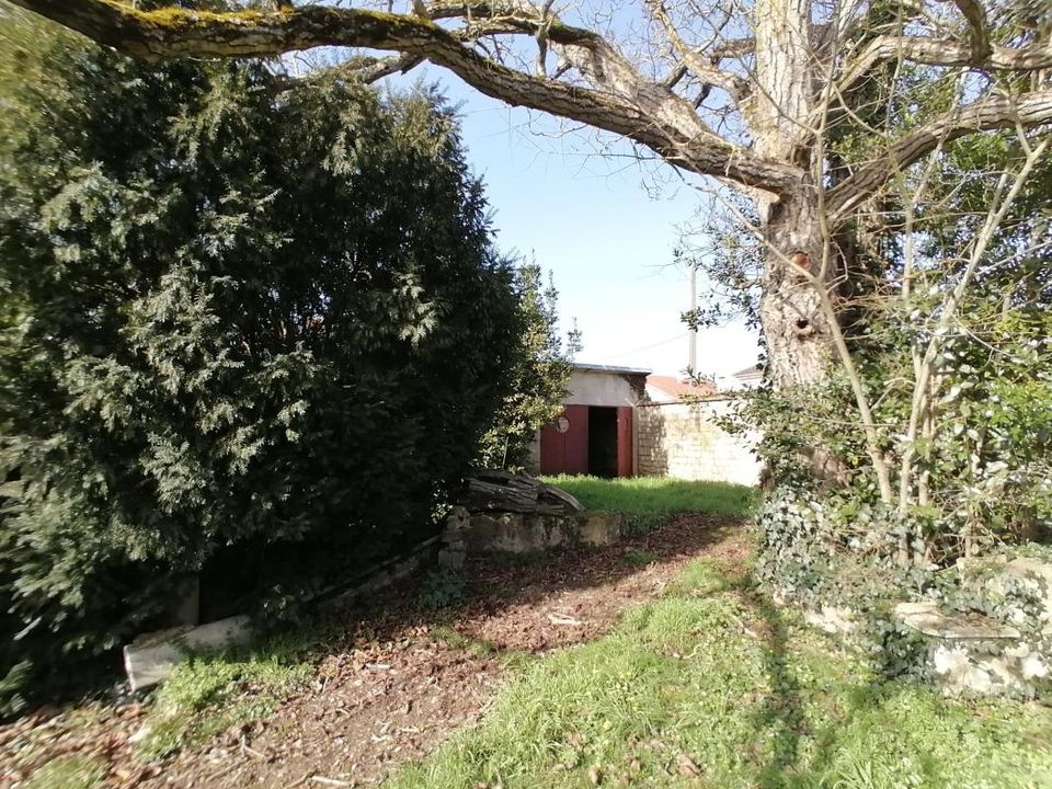 Helårsgrund i Buxerolles, Vienne - foto 5