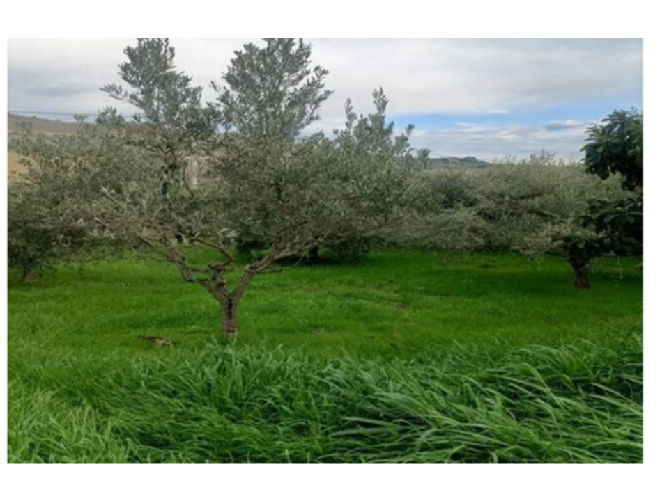 Villa i San Benedetto Del Tronto, Ascoli Piceno - bilde 2