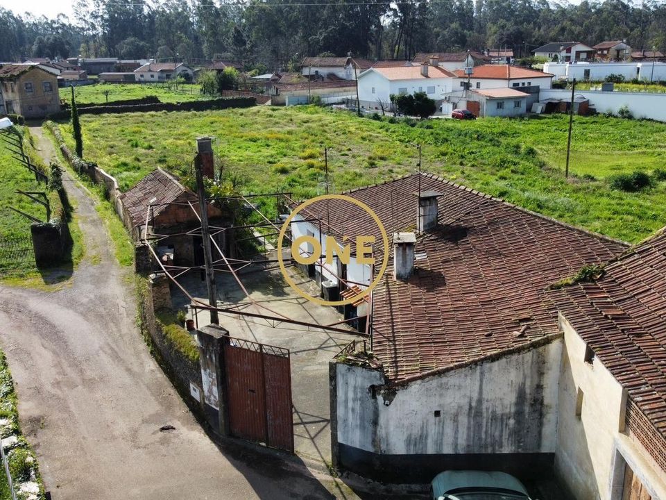 Byhus i Oliveira de Azemeis, Aveiro - foto 4