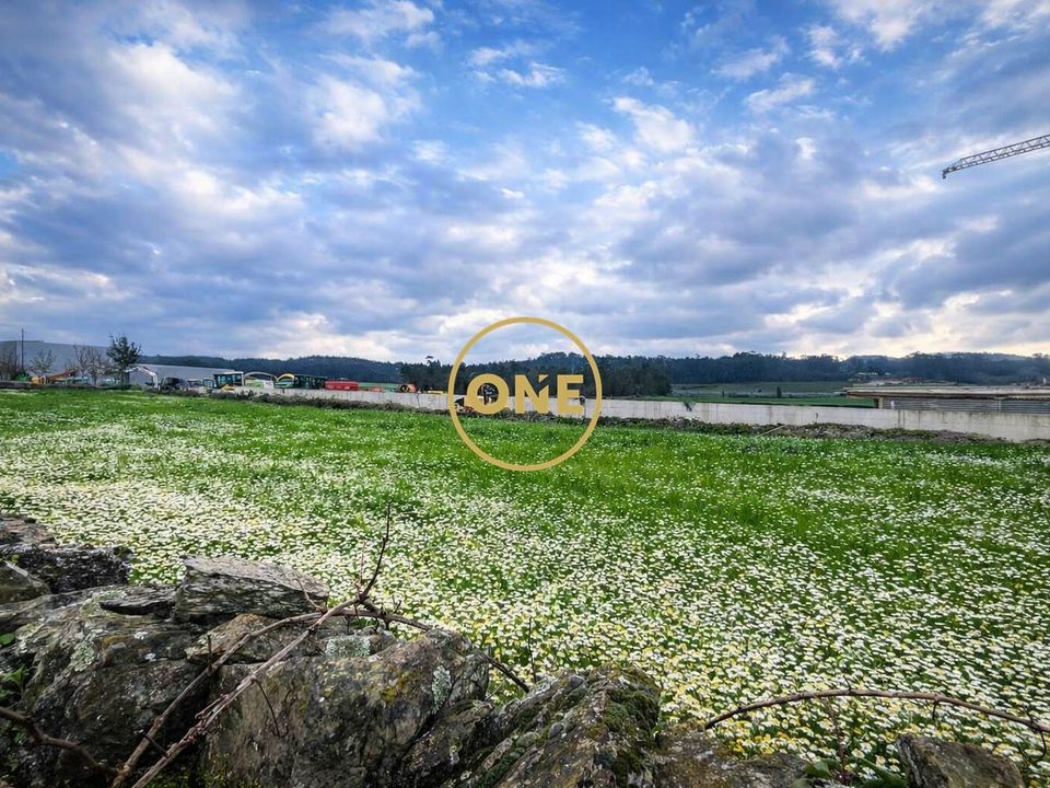 Helårsgrund i Povoa de Varzim, Porto - foto 3