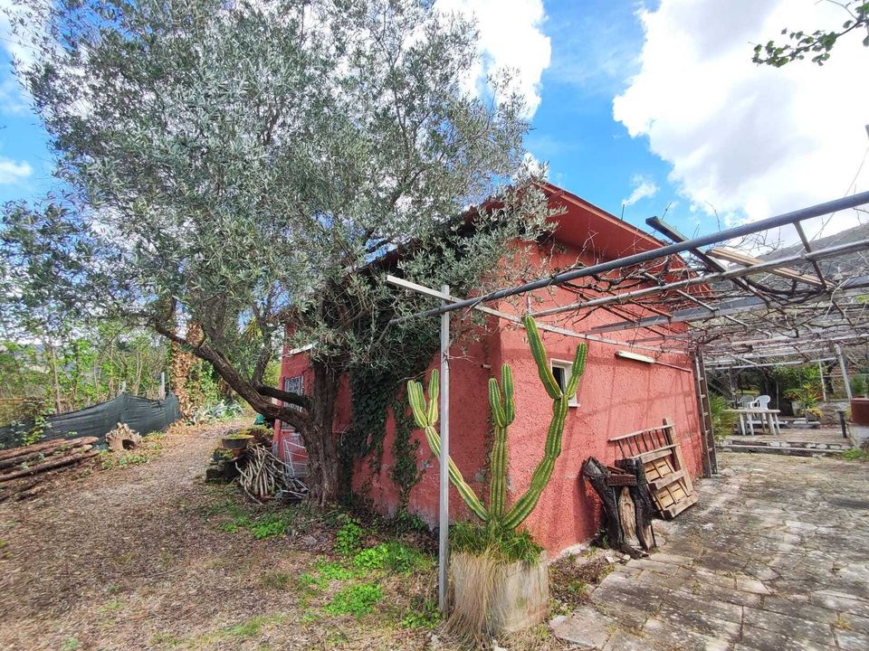 Erhvervsejendom i Marcellina, Rome - foto 1
